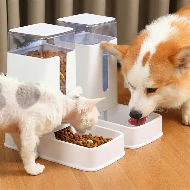 Pet Bowl Automatic Feeder Water Dispenser