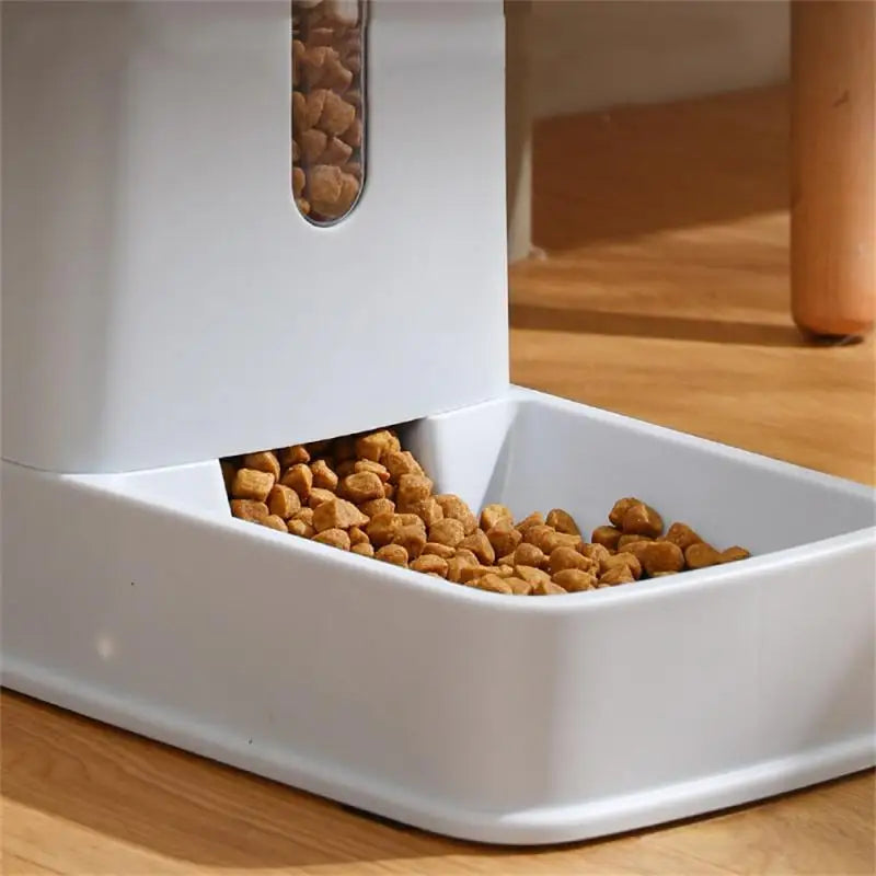 Pet Bowl Automatic Feeder Water Dispenser