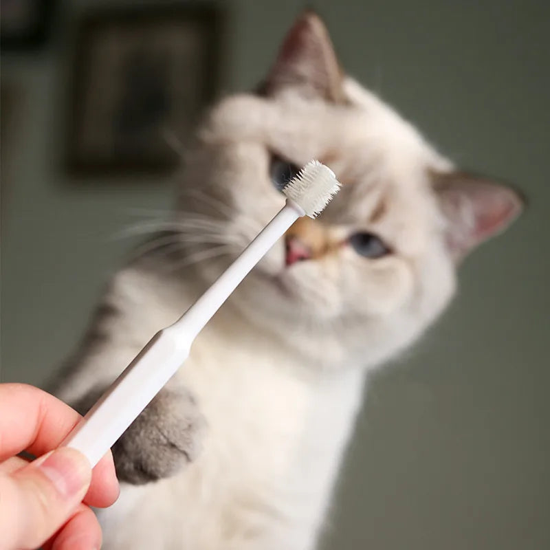 Cat Toothbrush Soft Hair