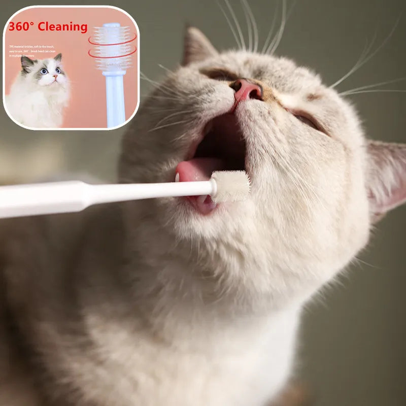 Cat Toothbrush Soft Hair