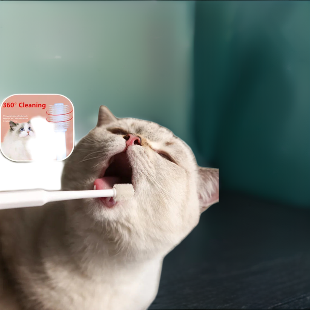 Cat Toothbrush Soft Hair