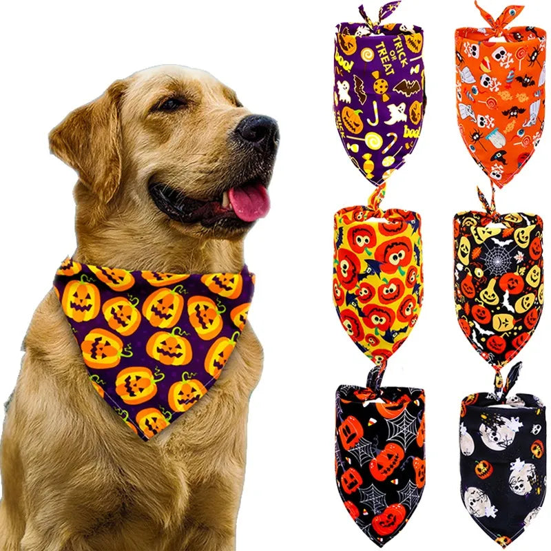 Halloween Pet Scarf